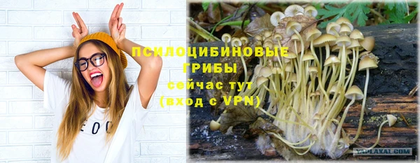 MESCALINE Бородино
