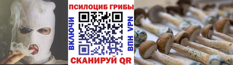 Купить  Черняховск  Псилоцибиновые грибы Magic Shrooms 